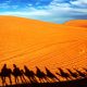 maroko_pustynia_sahara_wydmy_wielblady_www.globzon.travel